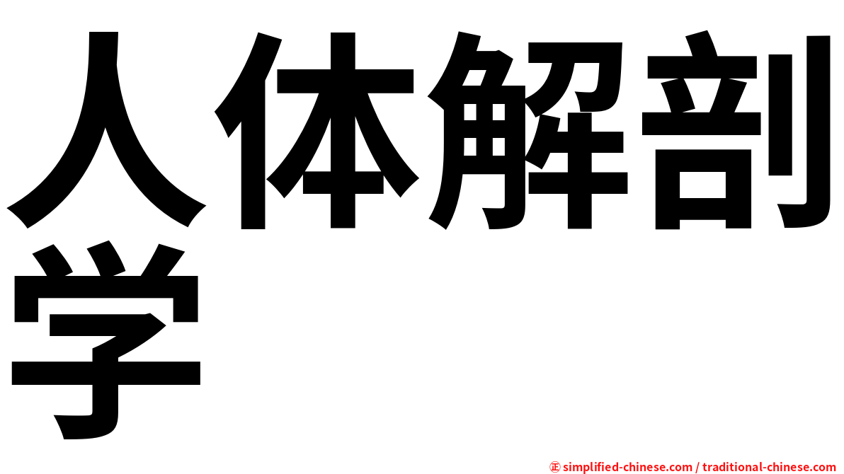 人体解剖学