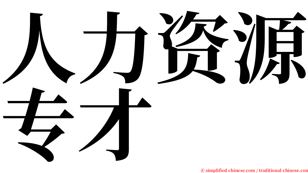 人力资源专才 serif font