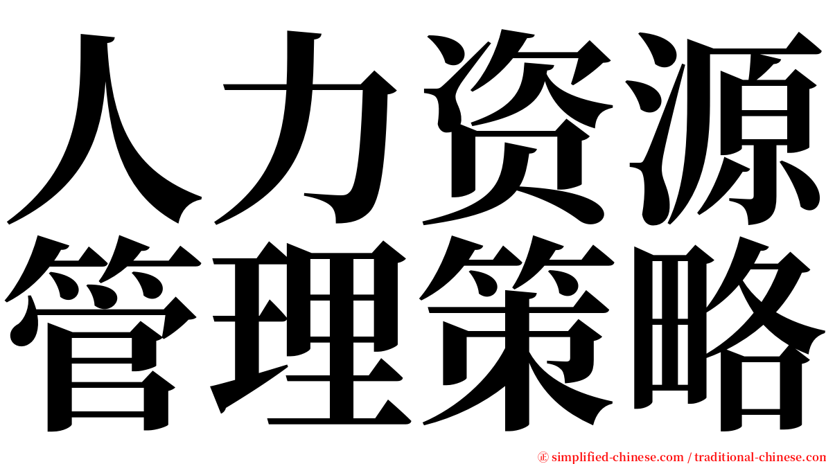 人力资源管理策略 serif font