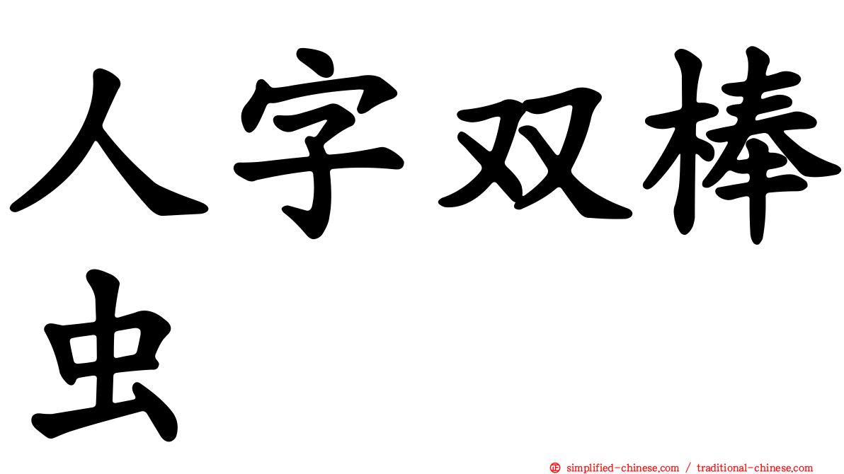 人字双棒虫
