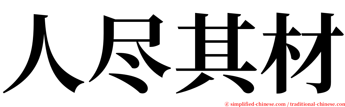 人尽其材 serif font