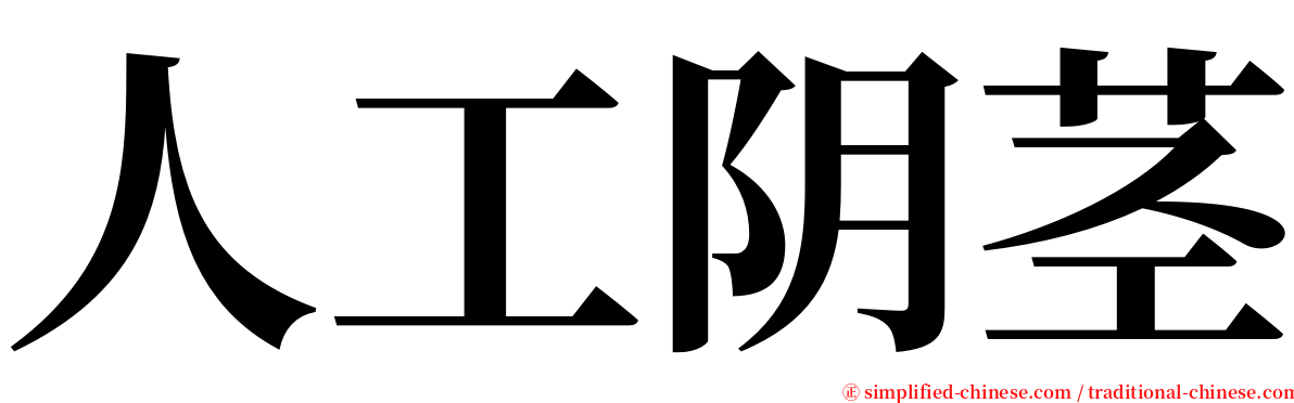 人工阴茎 serif font