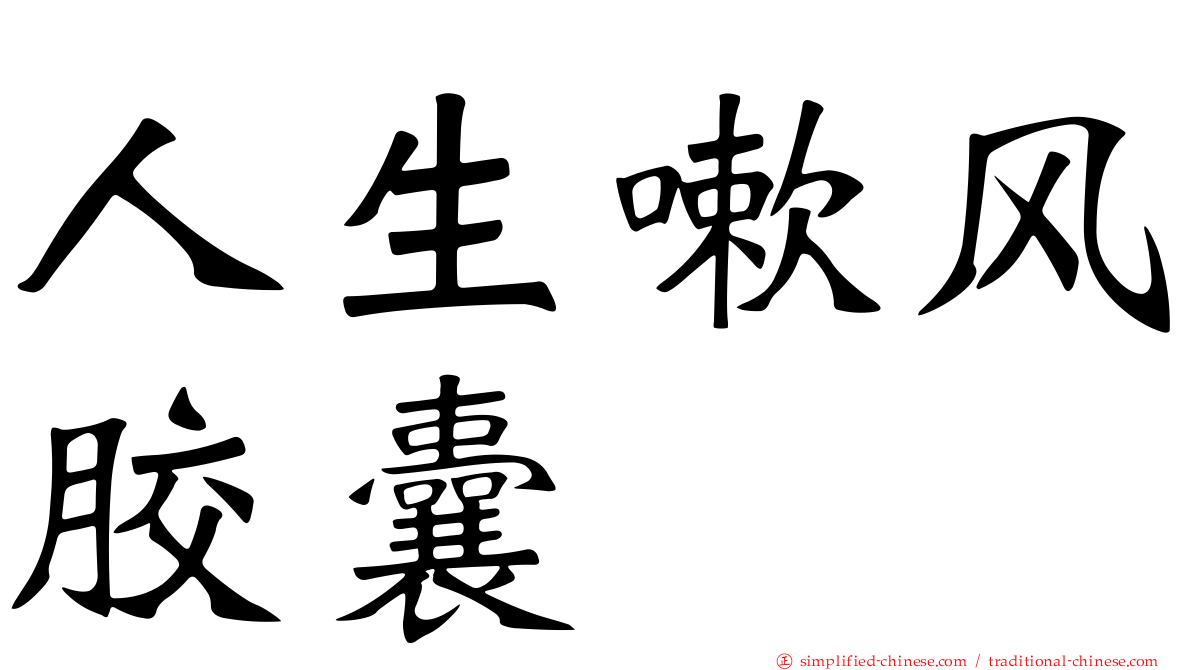 人生嗽风胶囊