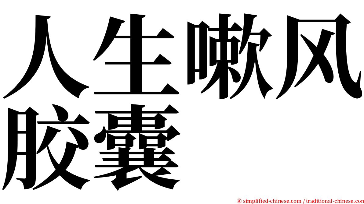 人生嗽风胶囊 serif font