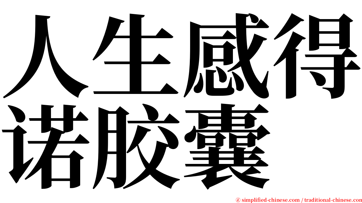 人生感得诺胶囊 serif font