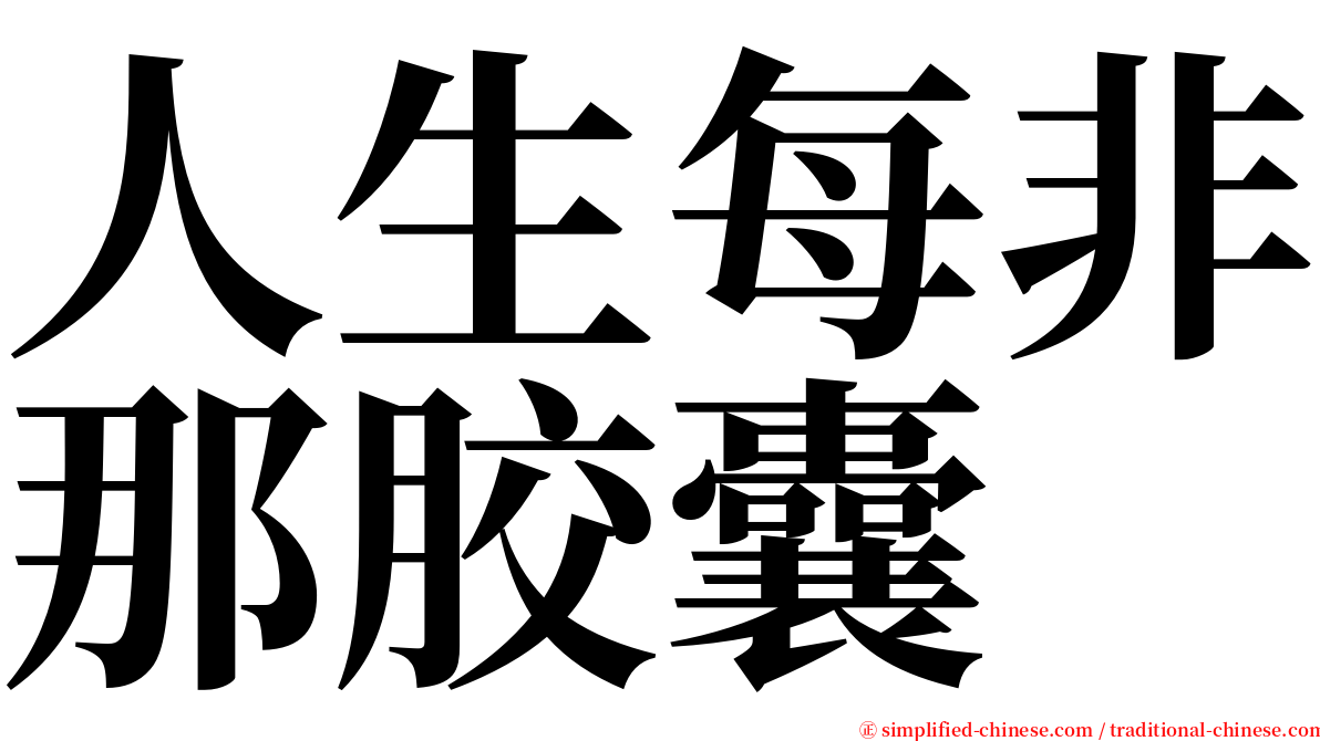 人生每非那胶囊 serif font