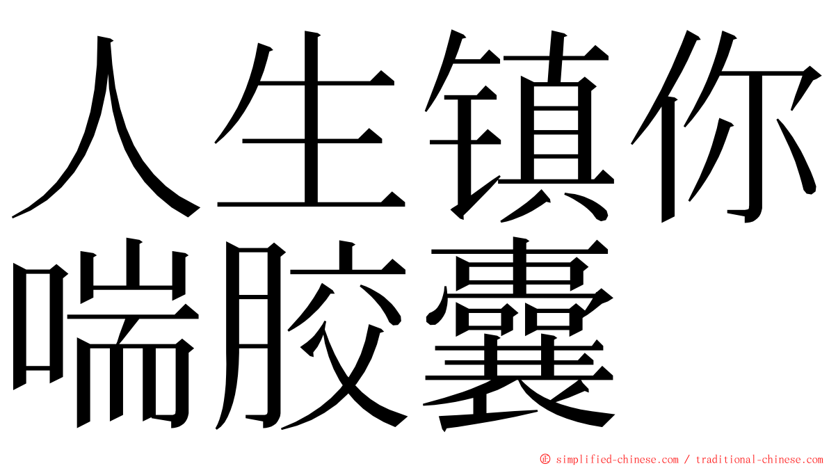 人生镇你喘胶囊 ming font