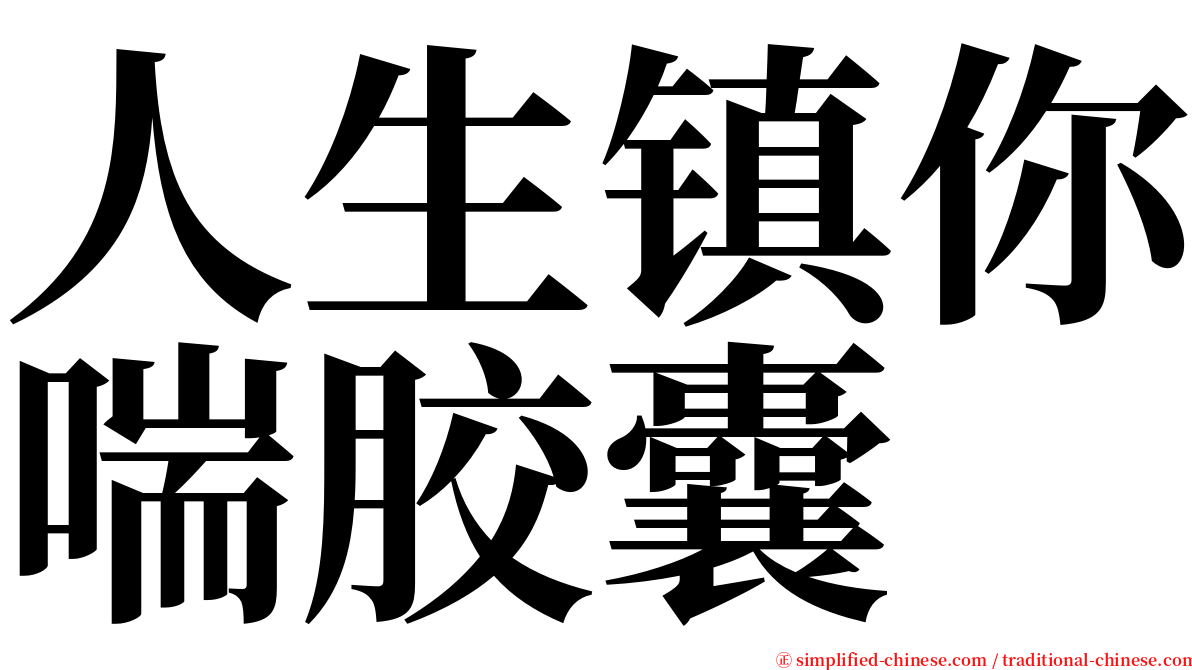 人生镇你喘胶囊 serif font