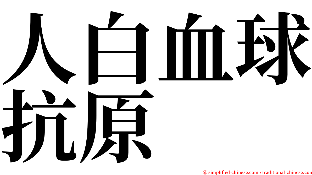 人白血球抗原 serif font