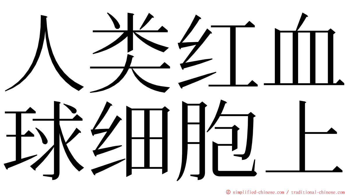 人类红血球细胞上 ming font