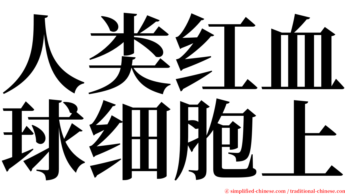 人类红血球细胞上 serif font
