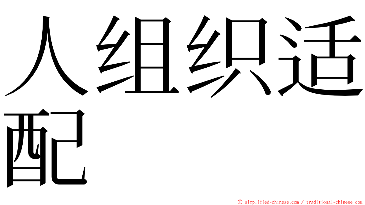人组织适配 ming font