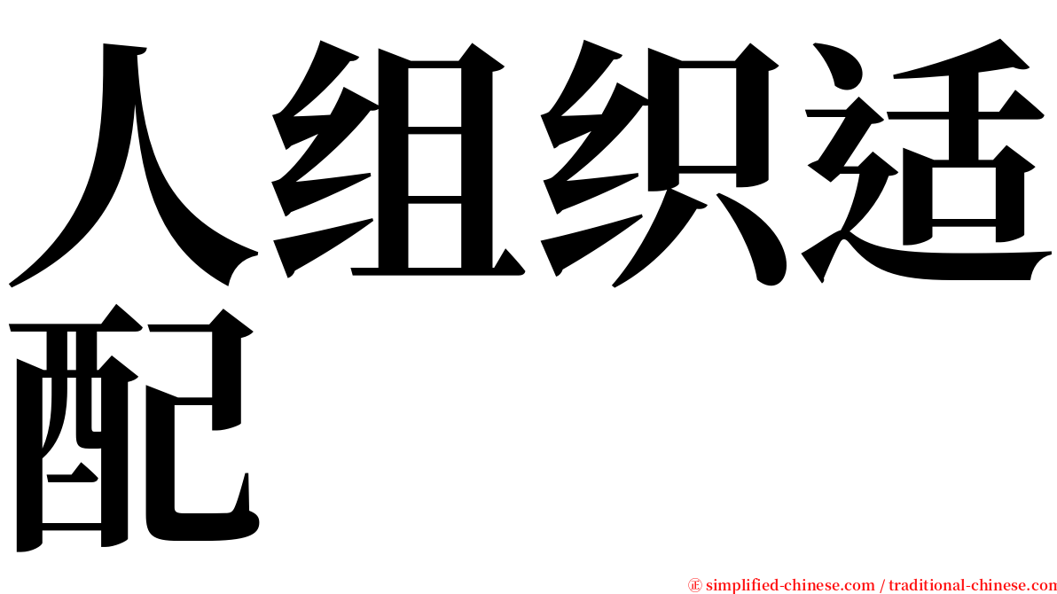 人组织适配 serif font