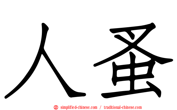 人蚤