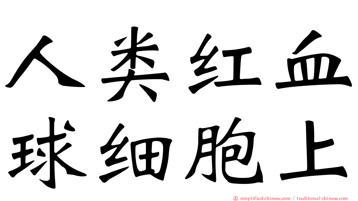人类红血球细胞上