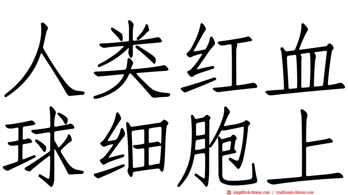 人类红血球细胞上