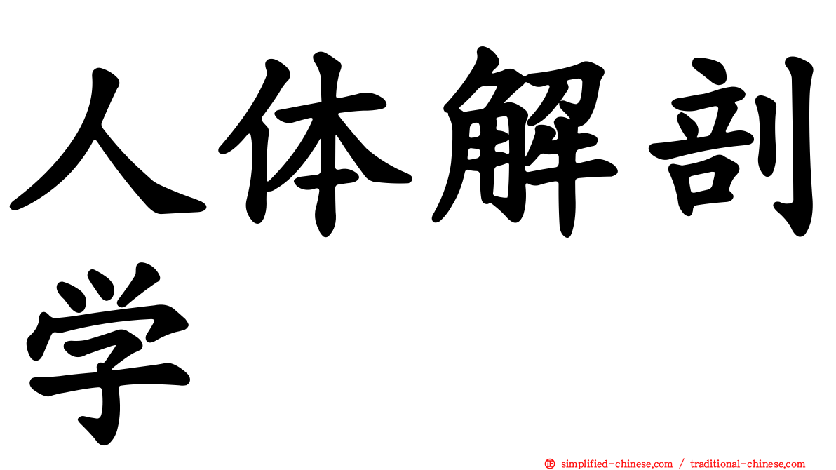 人体解剖学