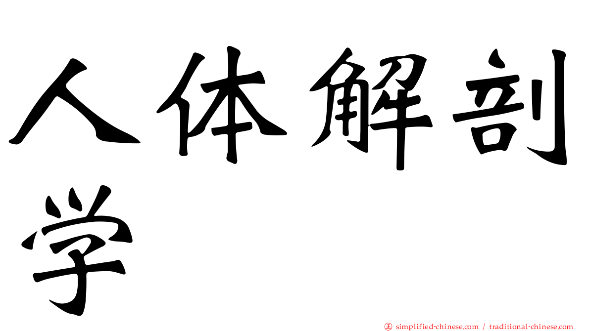 人体解剖学