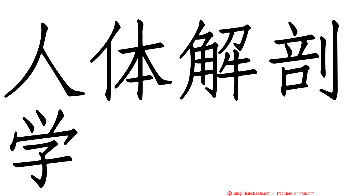人体解剖学