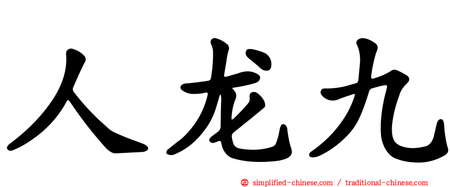 人龙九