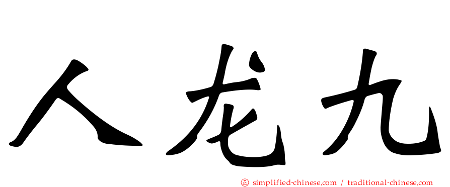 人龙九