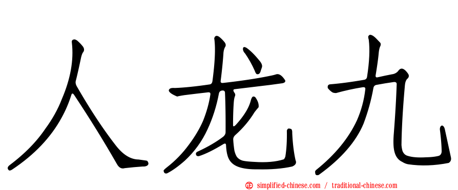 人龙九