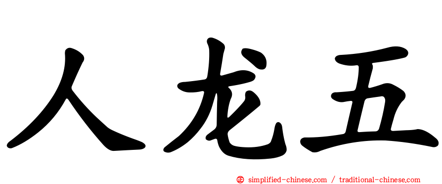 人龙五