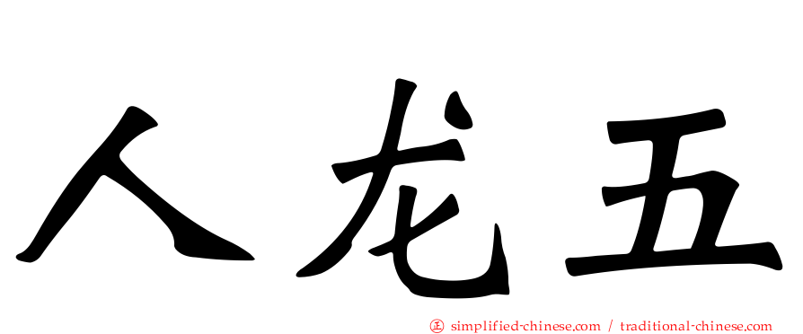 人龙五