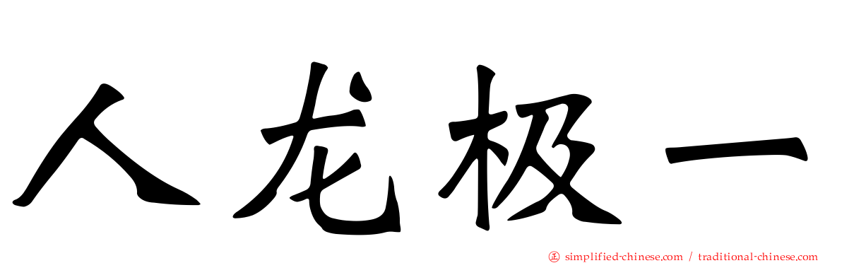 人龙极一