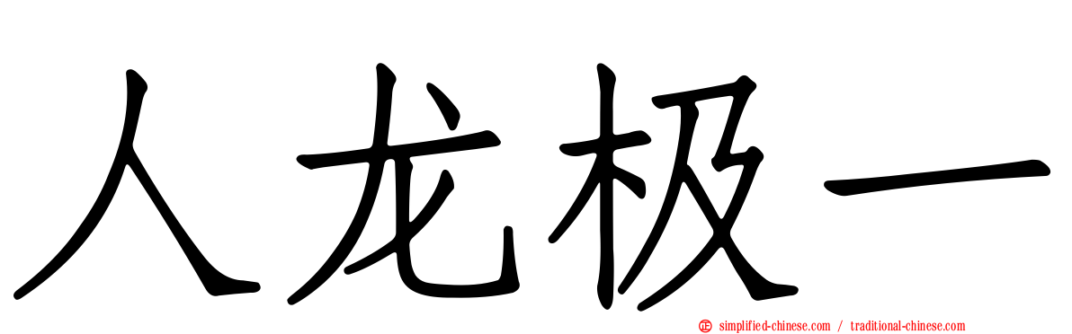 人龙极一
