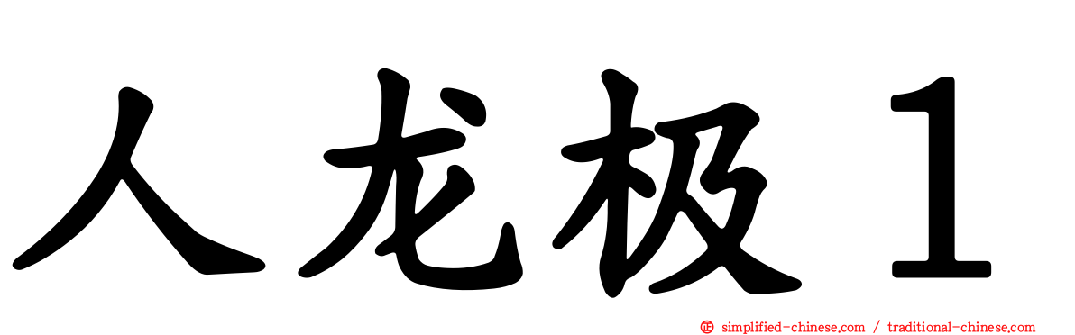 人龙极１