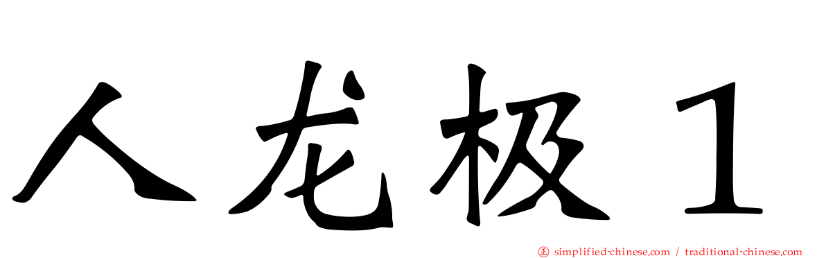 人龙极１