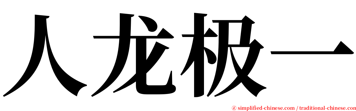 人龙极一 serif font