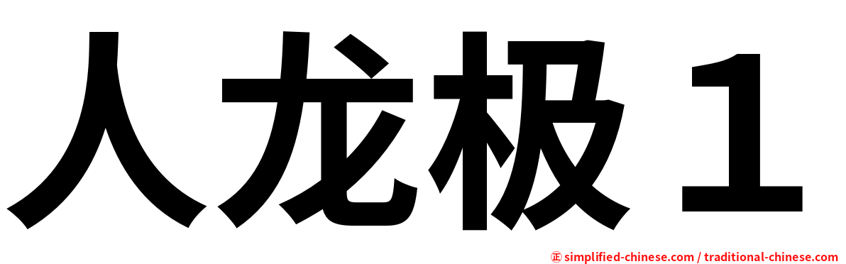 人龙极１