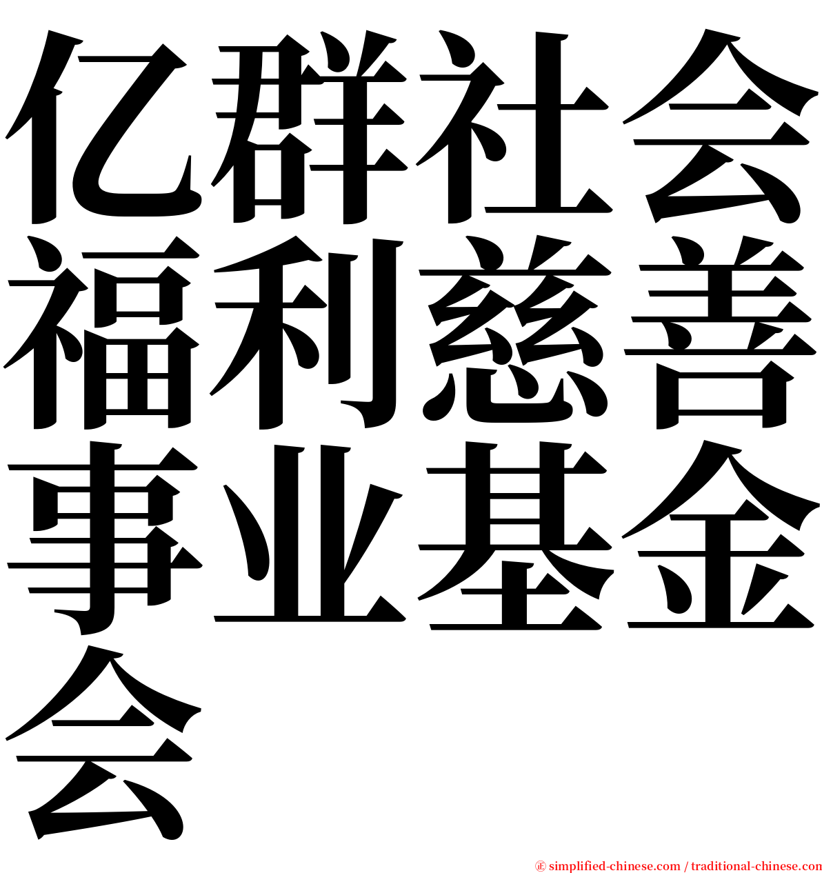 亿群社会福利慈善事业基金会 serif font