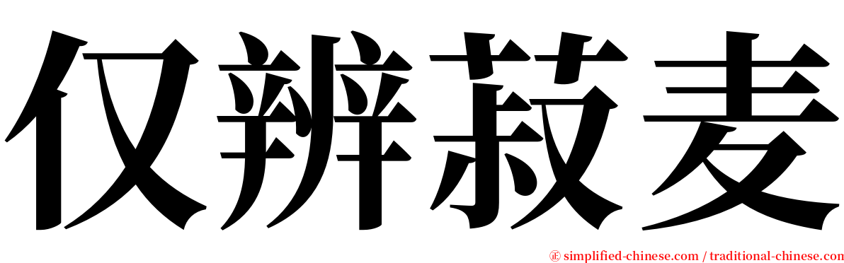 仅辨菽麦 serif font