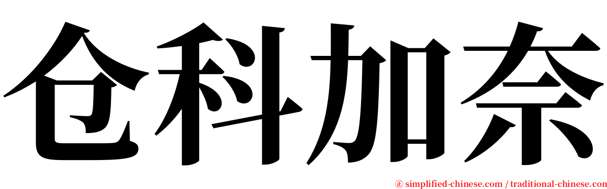 仓科加奈 serif font