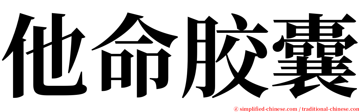 他命胶囊 serif font