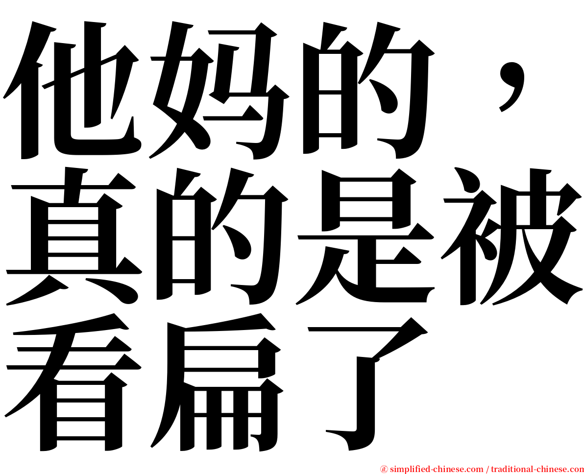 他妈的，真的是被看扁了 serif font
