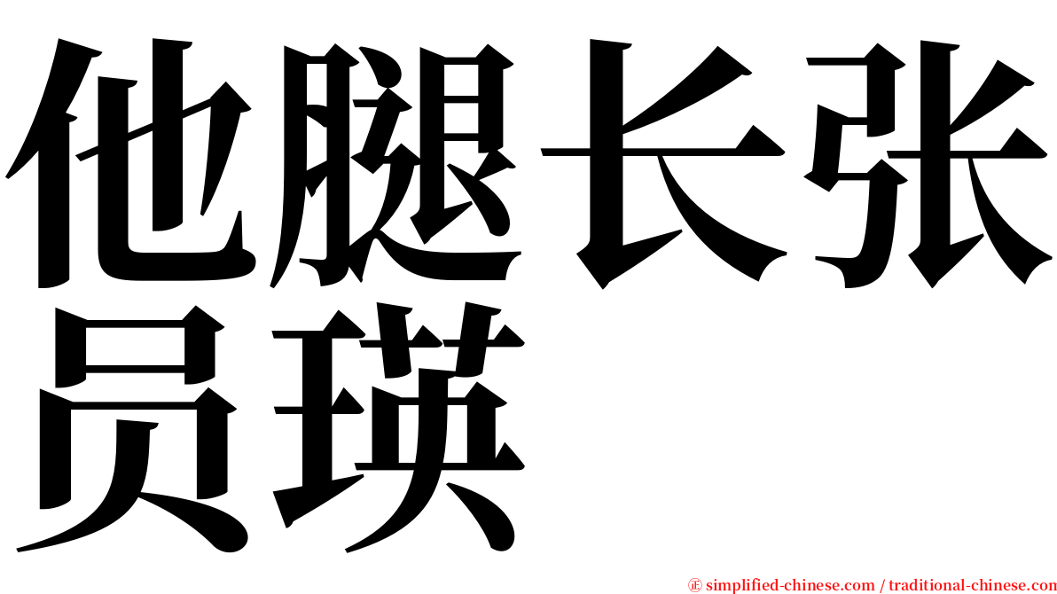 他腿长张员瑛 serif font