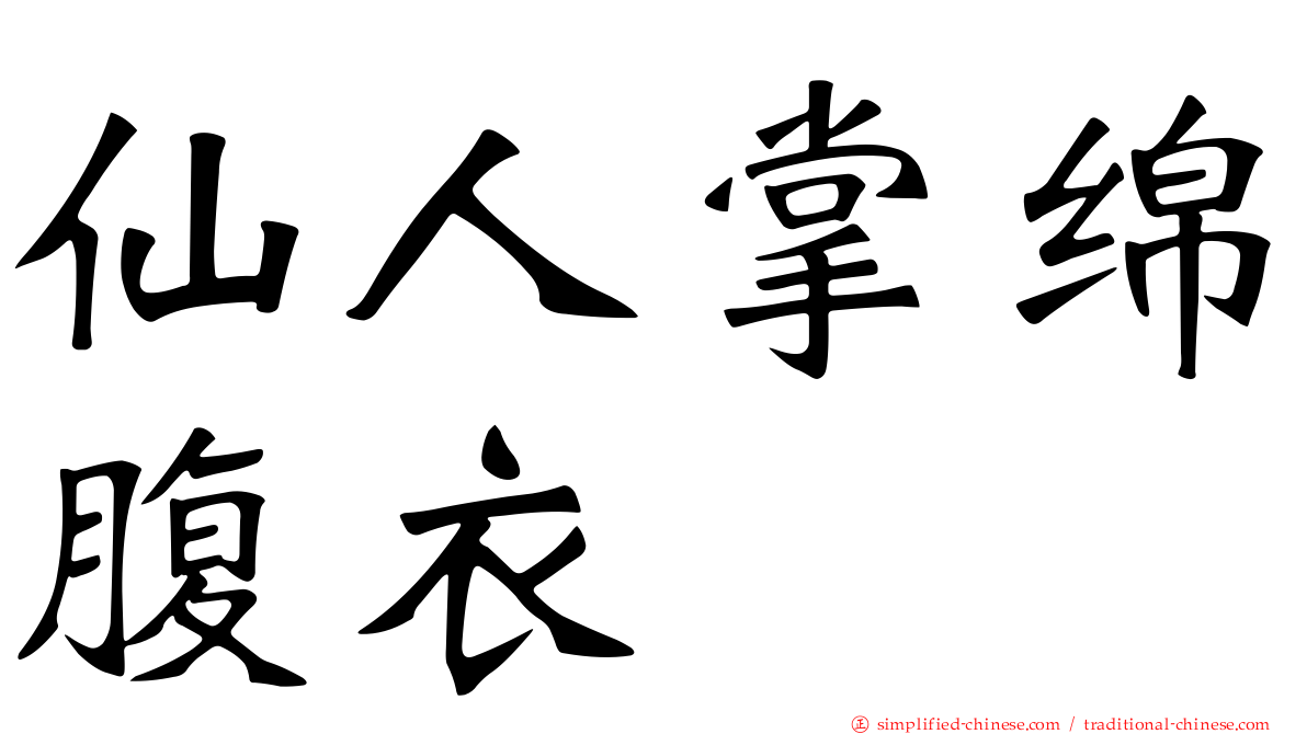 仙人掌绵腹衣