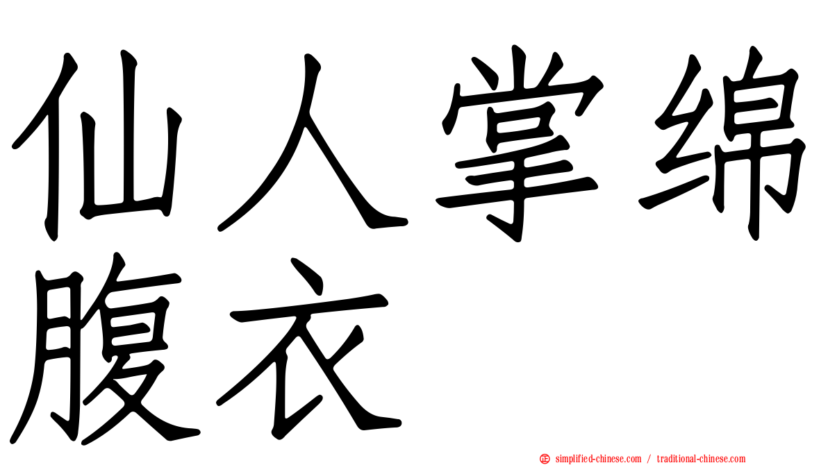 仙人掌绵腹衣