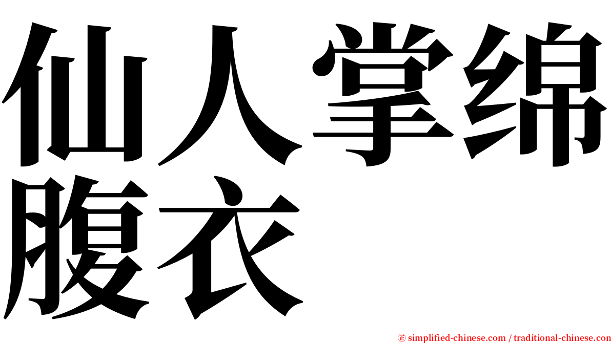 仙人掌绵腹衣 serif font