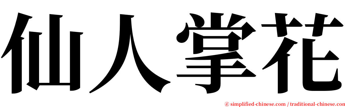 仙人掌花 serif font