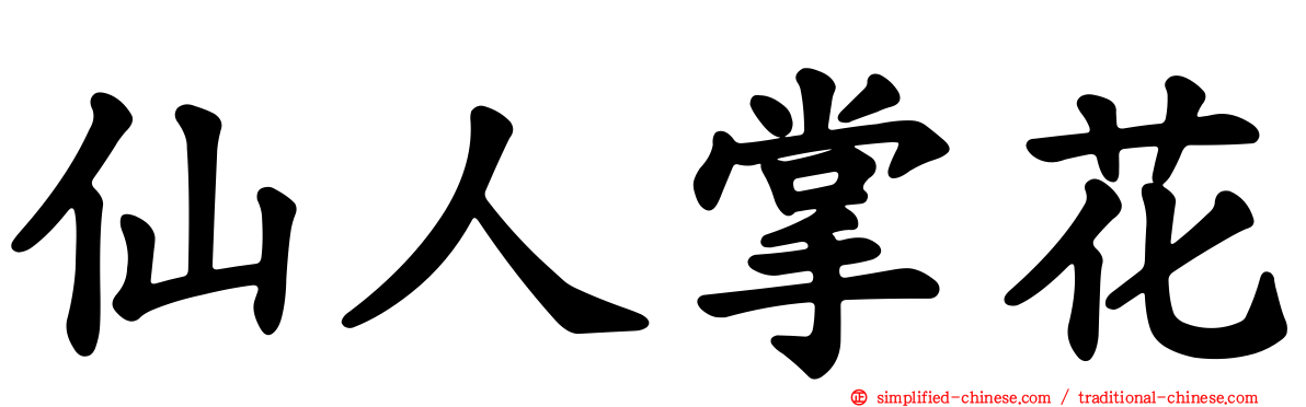 仙人掌花