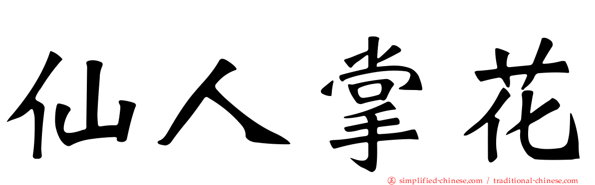 仙人掌花