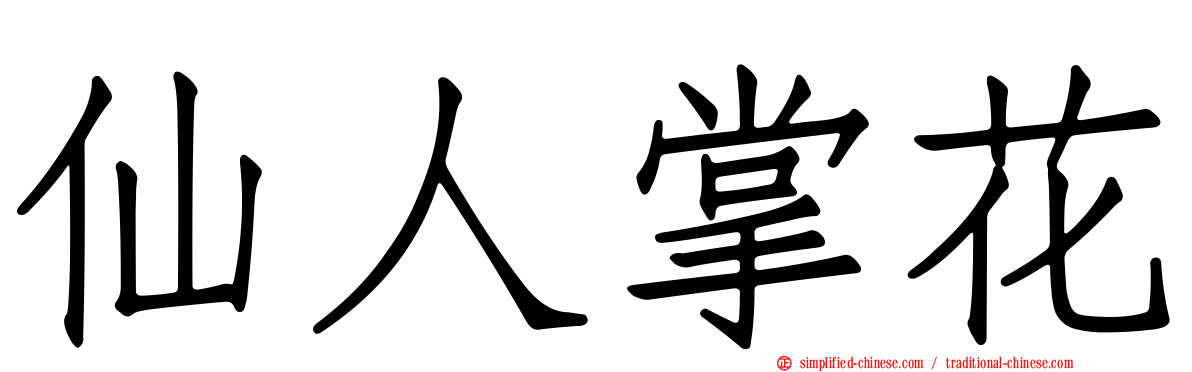 仙人掌花