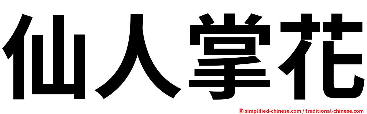 仙人掌花