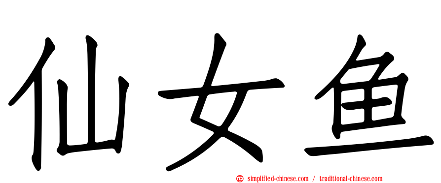 仙女鱼