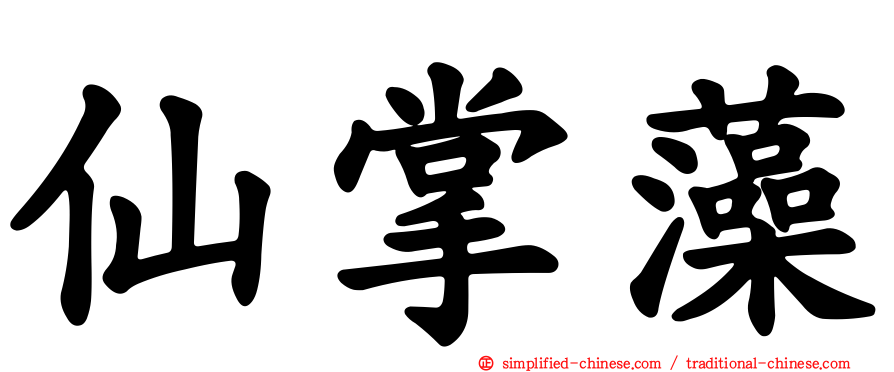 仙掌藻